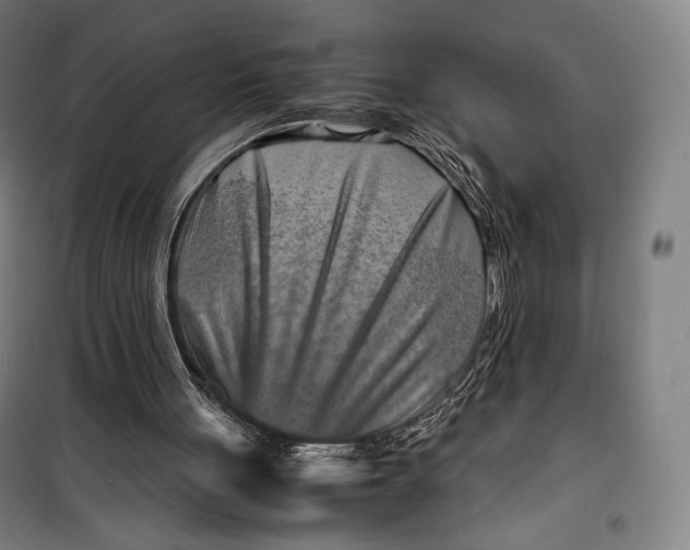 X0000099530051200806061441