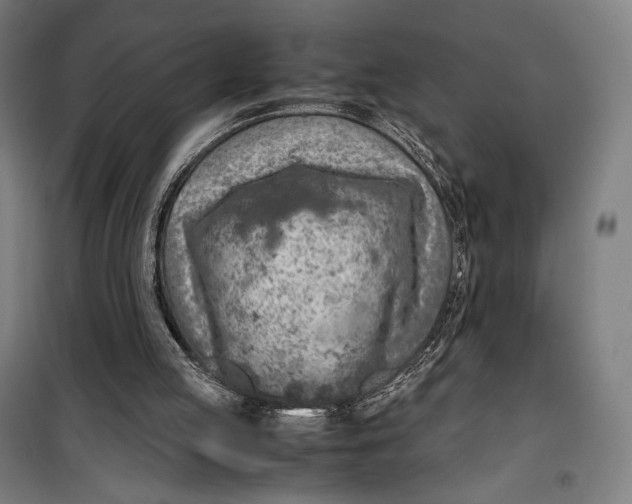 X0000099530053200806061441