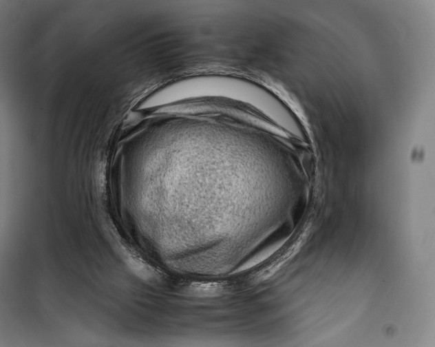 X0000099530057200806061441