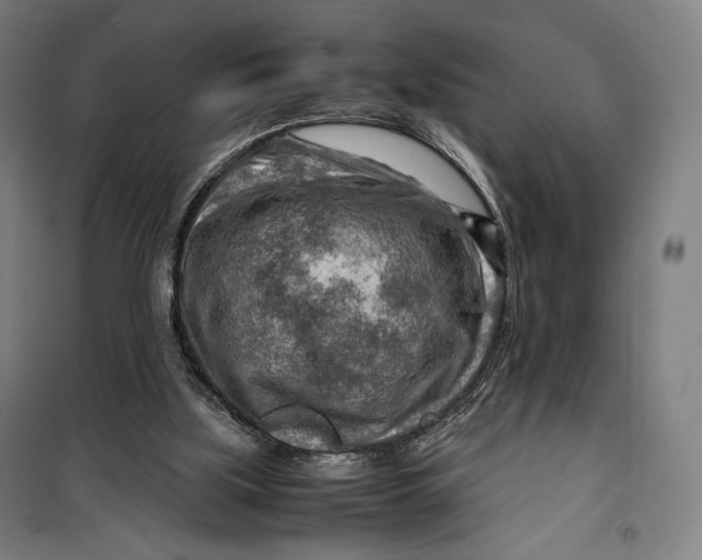 X0000099530059200806061441