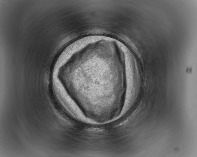 X0000099530063200806061441