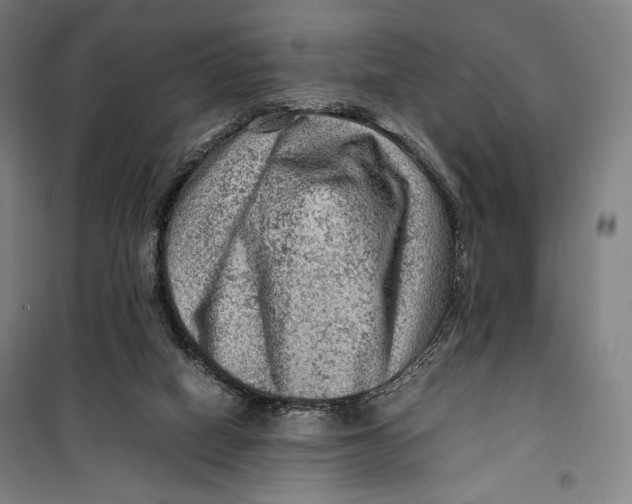 X0000099530066200806061441