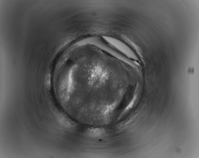 X0000099530067200806061441