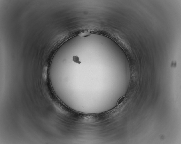 X0000099530070200806061441