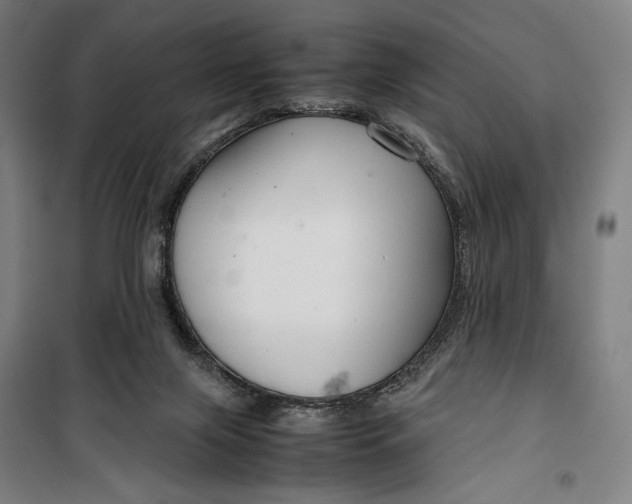 X0000099530071200806061441