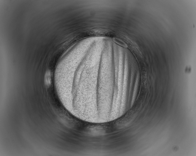 X0000099530075200806061441