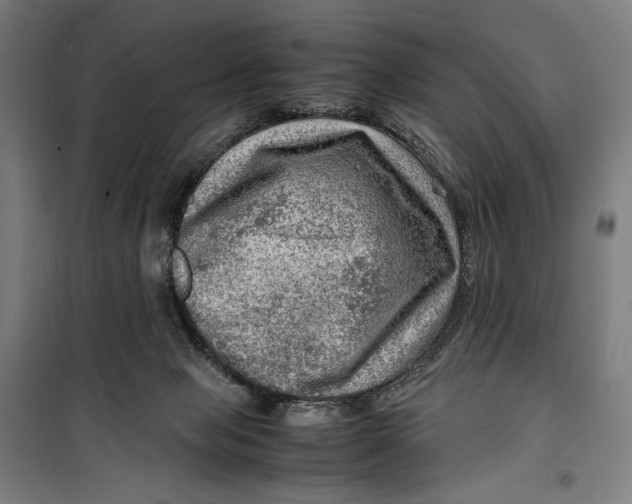 X0000099530077200806061441