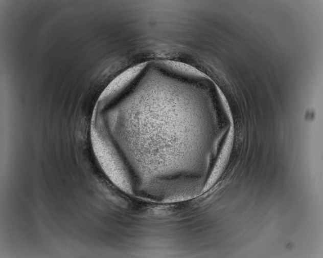 X0000099530078200806061441