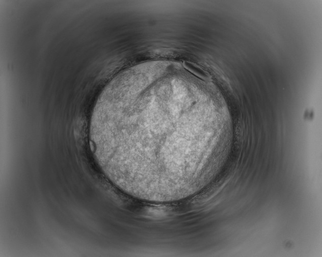 X0000099530079200806061441