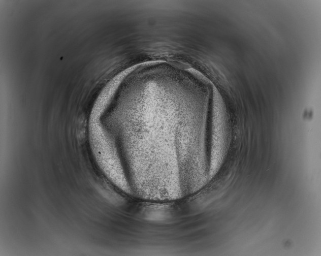 X0000099530081200806061441