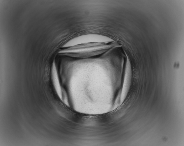 X0000099530082200806061441