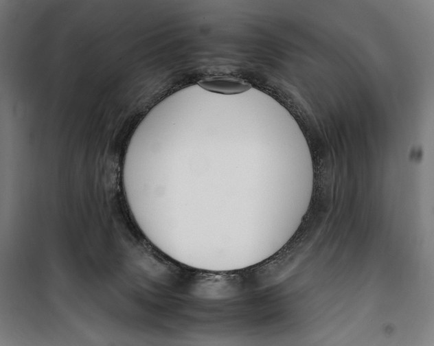 X0000099530083200806061441