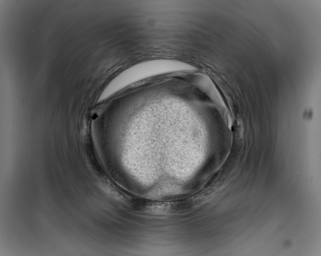 X0000099530084200806061441