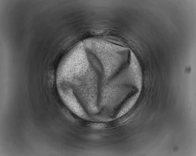 X0000099530085200806061441