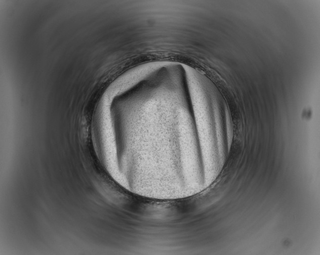 X0000099530086200806061441