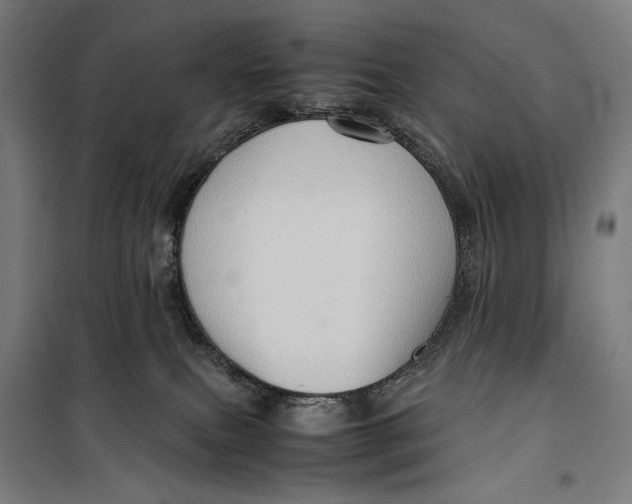 X0000099530087200806061441