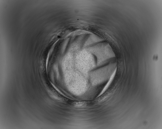 X0000099530088200806061441