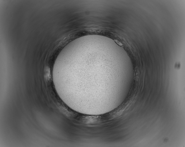 X0000099530089200806061441