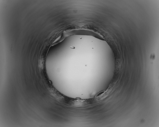 X0000099530090200806061441