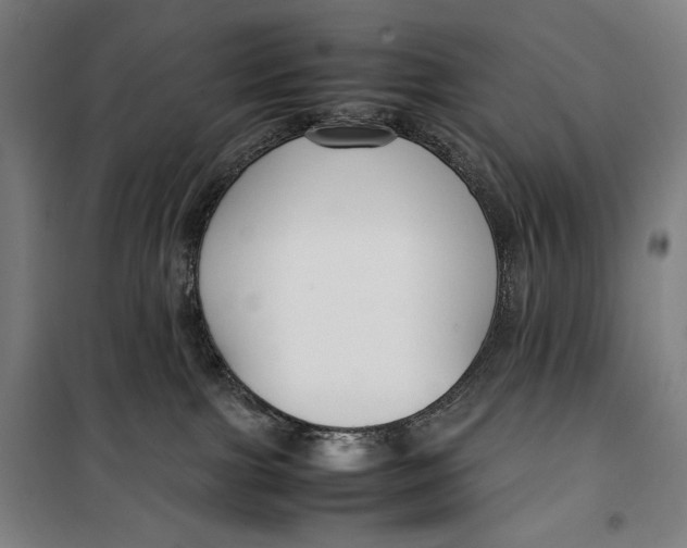 X0000099530091200806061441