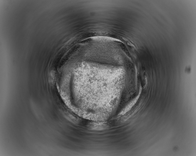 X0000099530093200806061441