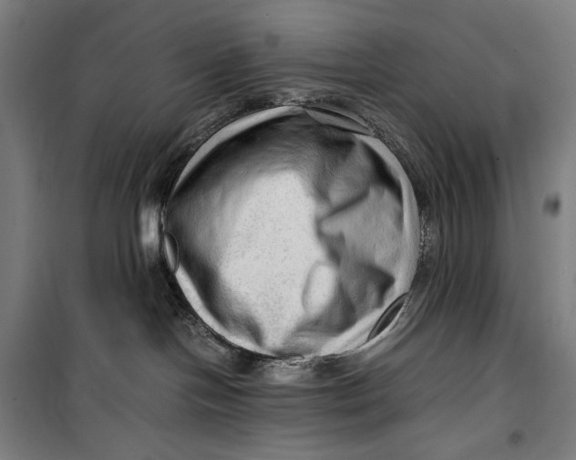 X0000099530094200806061441