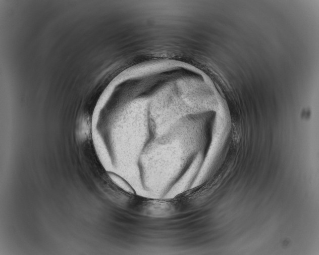 X0000099530095200806061441