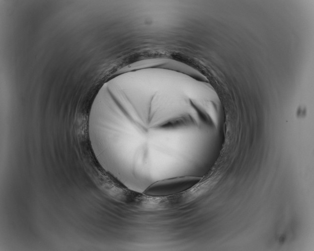 X0000099530096200806061441