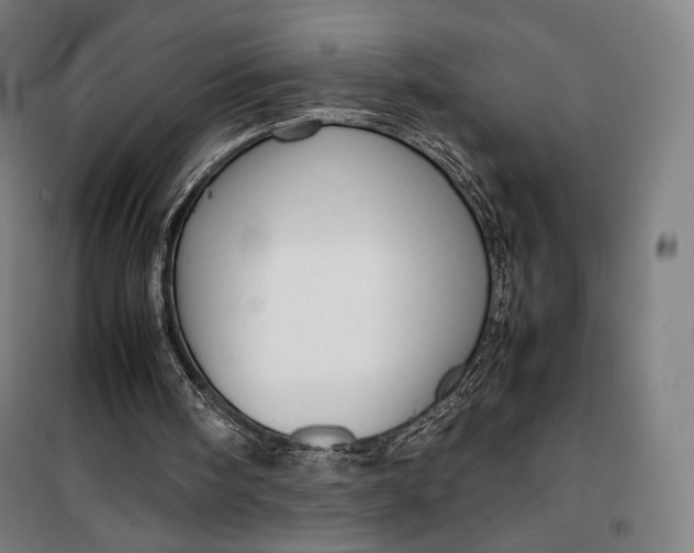 X0000099530098200806061441