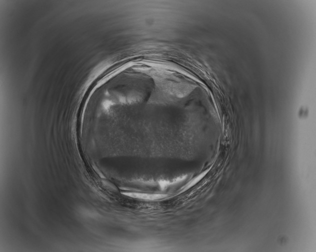 X0000099530099200806061441