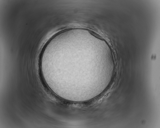 X0000099530103200806061441