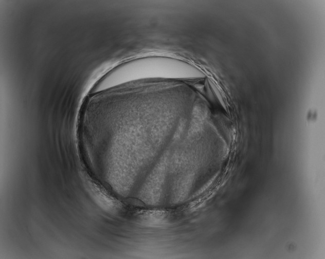 X0000099530104200806061441