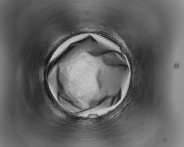 X0000099530106200806061441