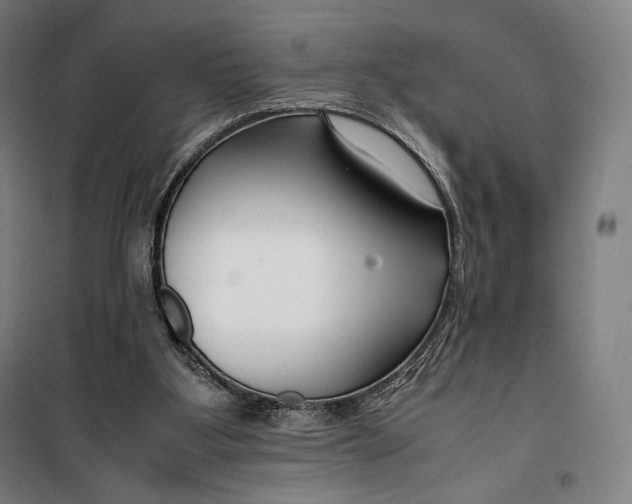 X0000099530107200806061441