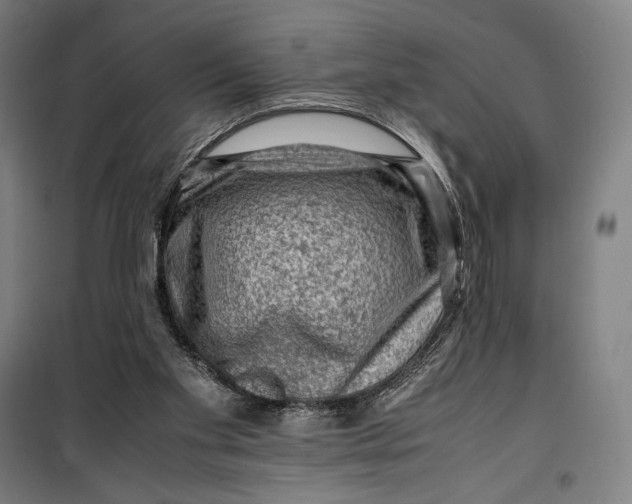 X0000099530109200806061441