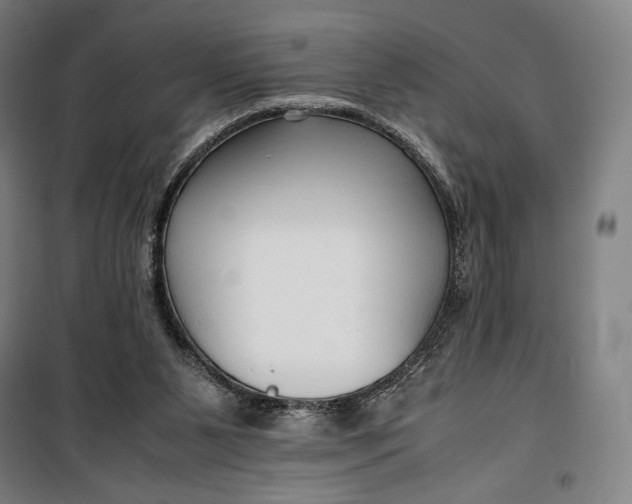 X0000099530111200806061440