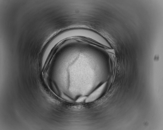 X0000099530112200806061440