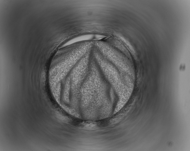 X0000099530113200806061440