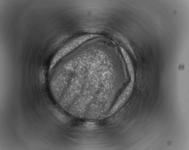 X0000099530114200806061440