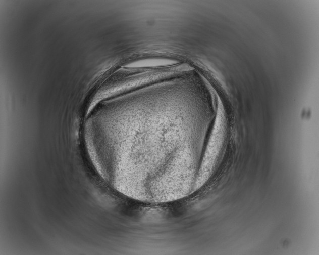 X0000099530115200806061440