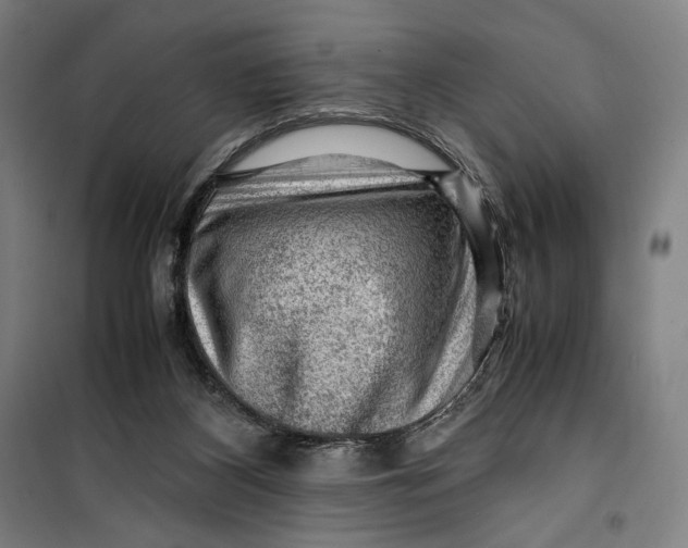 X0000099530116200806061440