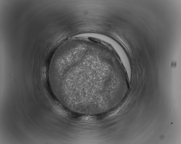 X0000099530117200806061440