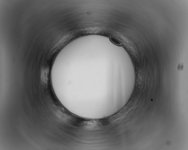 X0000099530118200806061440