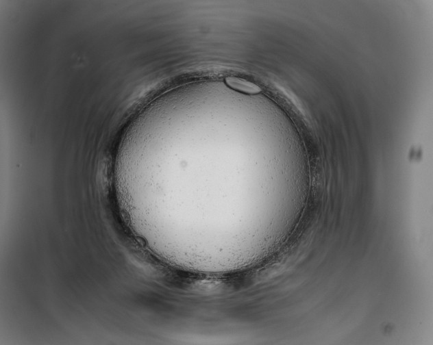 X0000099530119200806061440