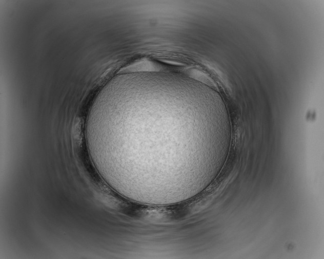 X0000099530121200806061440