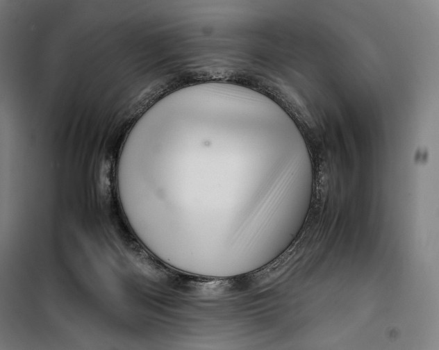 X0000099530122200806061440