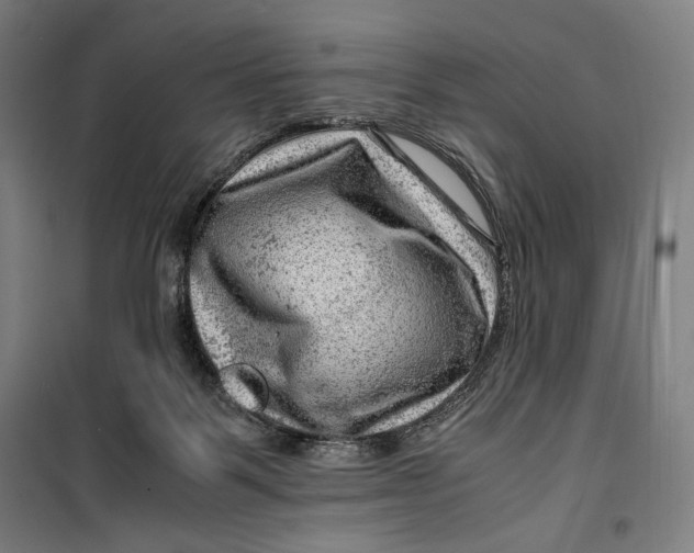 X0000099530123200806061440