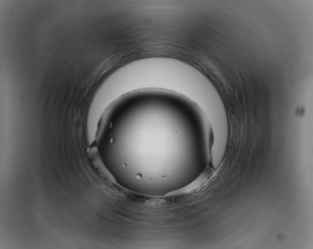 X0000099530124200806061440