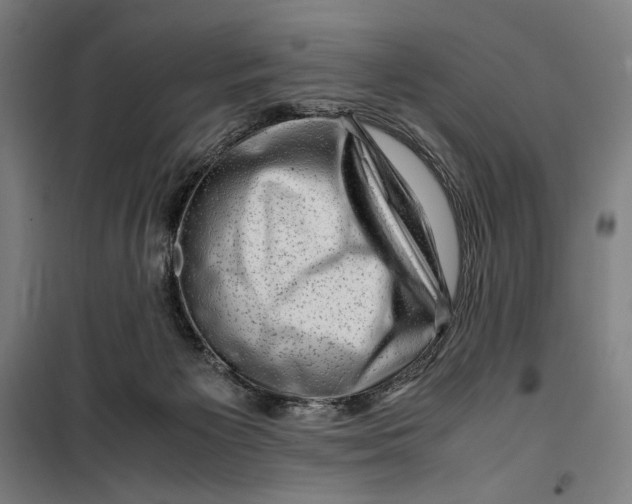 X0000099530125200806061440