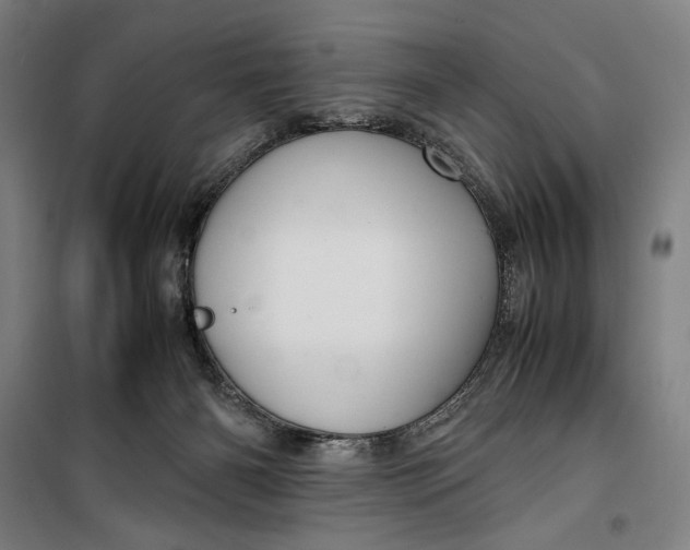 X0000099530126200806061440